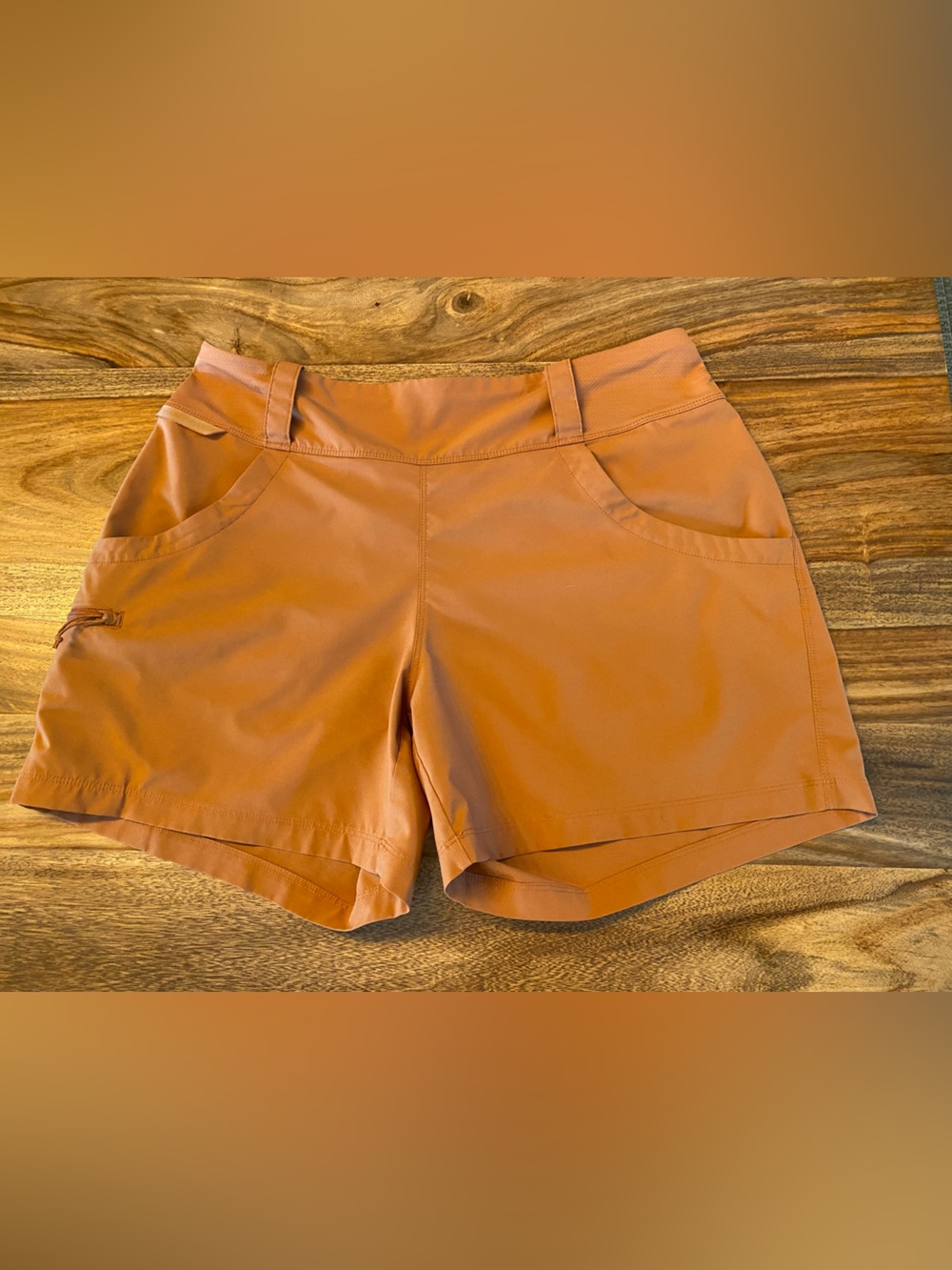 Patagonia Women'sTech Shorts 5".  Rust color.